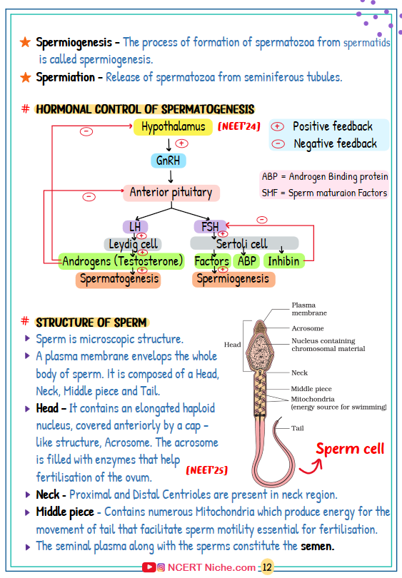 neet biology short notes for neet 2026 | printed colourful book | handwritten notes class 12 neet biology short notes for neet 2026 | printed colourful book | handwritten notes class 12